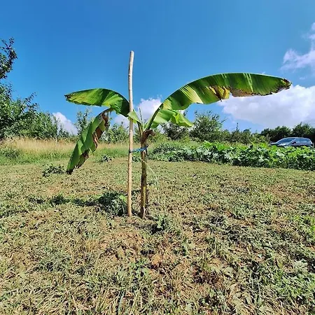 Hébergement de vacances Moon *
