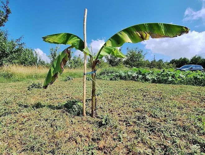 Prázdninový dům Moon *